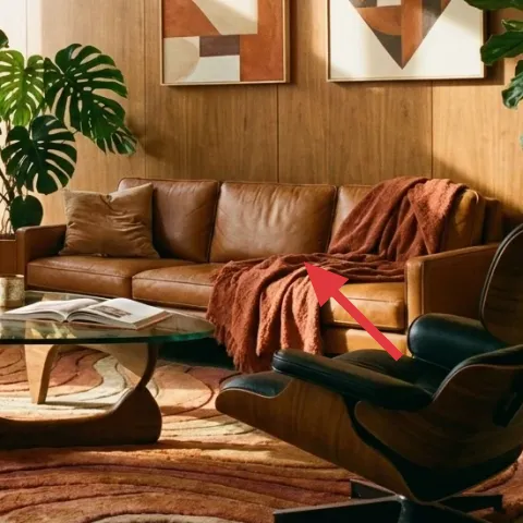 leather sofa