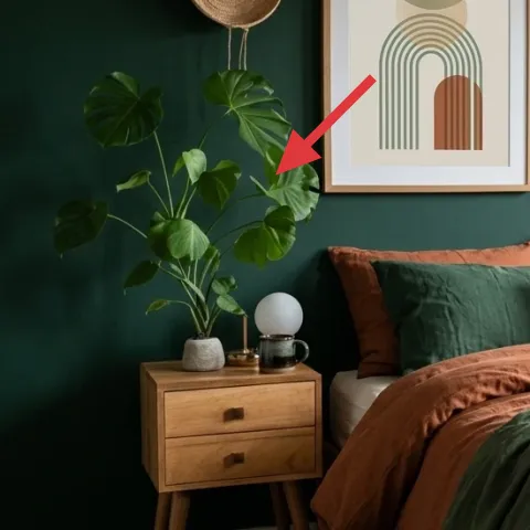 large leafy plant in a pot