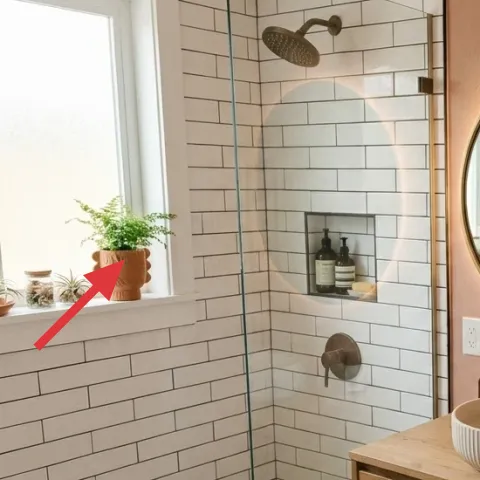 terracotta planter on window ledge