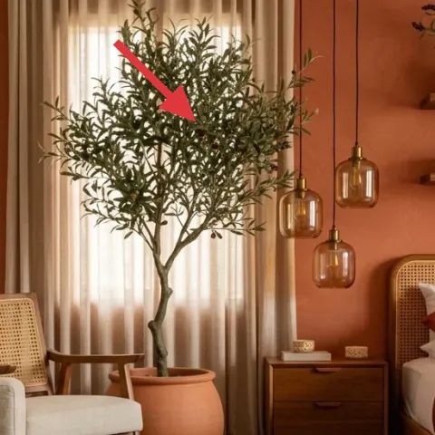 tall potted indoor tree