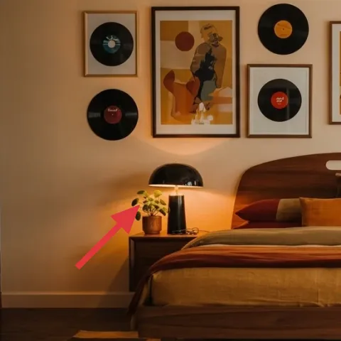 small potted plant on the left nightstand