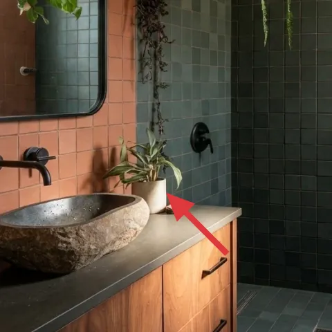 decorative tray for the vanity countertop