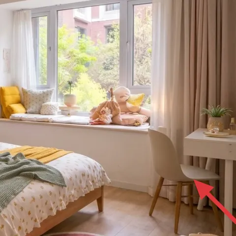 small potted plant on window ledge
