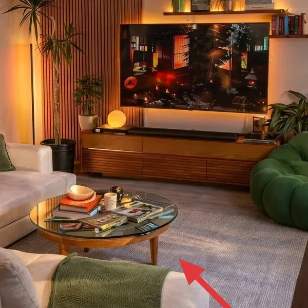 Light gray woven rug under the seating area