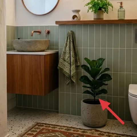 potted indoor plant on floor