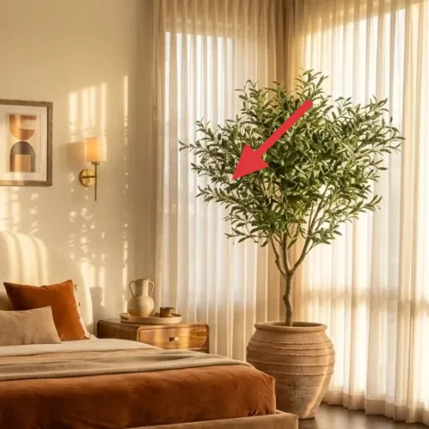 tall indoor plant with green leaves in a large pot