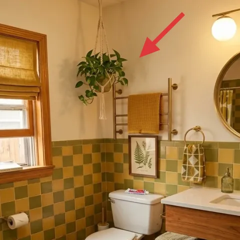 macramé-style hanging plant holder