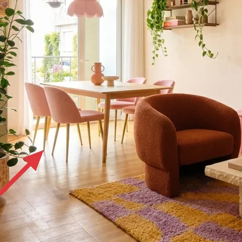 large leafy floor plant in a terracotta pot