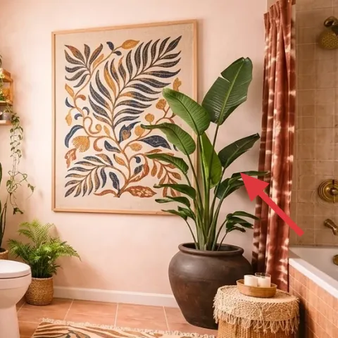 shower curtain (rusty brown)