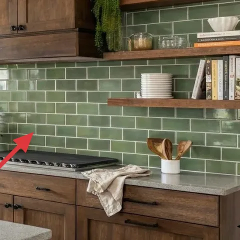 small potted plant on countertop (light clay pot)
