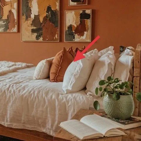 tan throw pillows (covers)