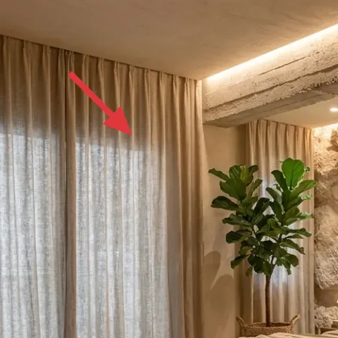 Floor-standing fiddle leaf fig in terracotta planter