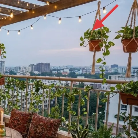 Hanging terracotta planters