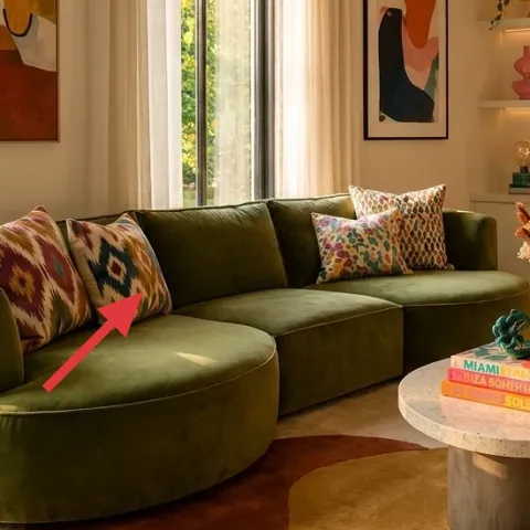 throw pillows on the sofa