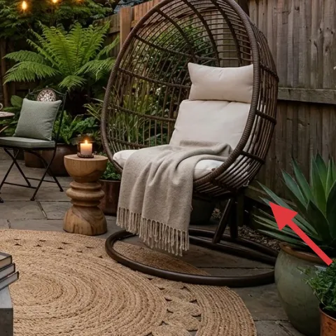 large leafy plant in pot