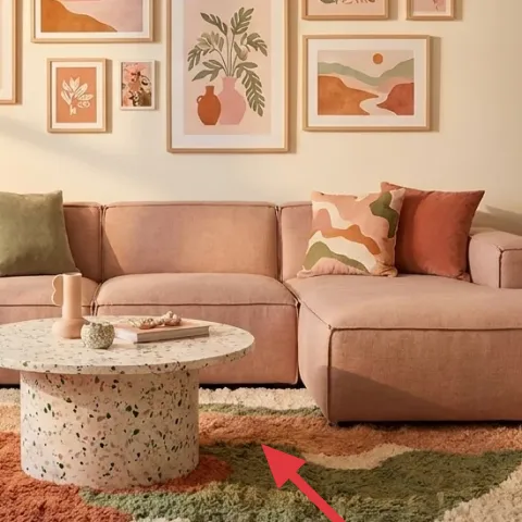 multi-color area rug