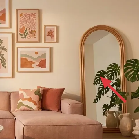 large leafy indoor plant in corner