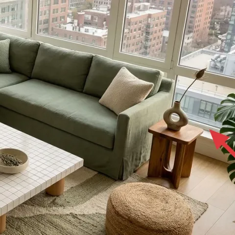 indoor potted plant with long leaves