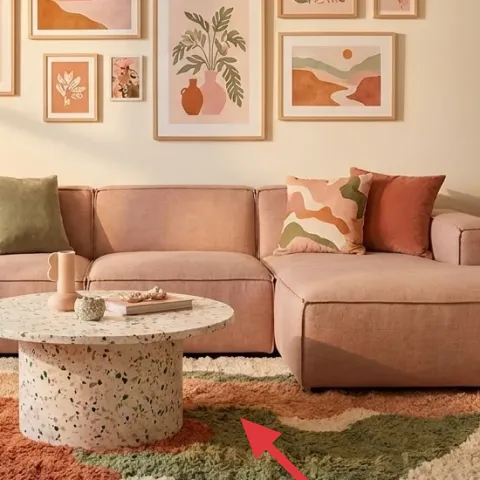 Multicolor area rug